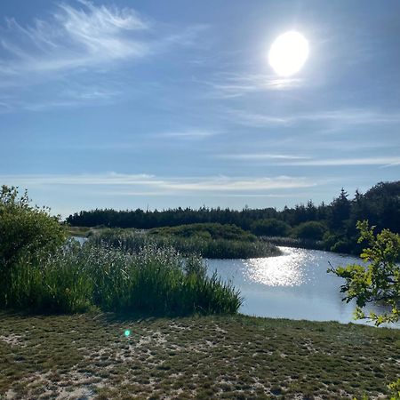 Zijperweg Vakantiehuis Vlakbij Zee, Strand En Bos Petten Eksteriør billede