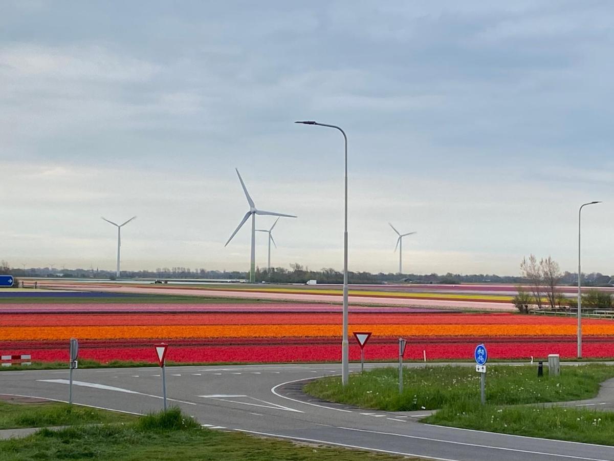 Zijperweg Vakantiehuis Vlakbij Zee, Strand En Bos Petten Eksteriør billede